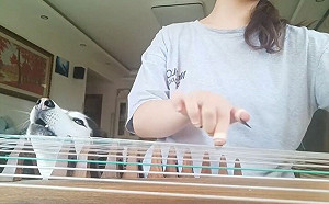 音準超絕！哈士奇靈魂伴唱拿滿分