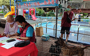 國際流浪動物日  新北動保處提醒與流浪動物和平共處妙招