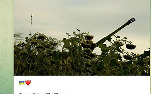 榴彈砲佇立在頓巴斯向日葵花田 烏克蘭高官動容轉發台裔攝影師照片