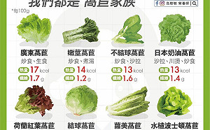 最適合夏日的爽口蔬菜是「它」！高敏敏：水含量高95％以上  一圖就懂8種「萵苣」