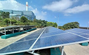 吳瑟致觀點》人民不是笨蛋！淨零碳排是進步國家象徵 抹黑綠電將削弱企業競爭力