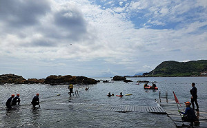 扶輪社服展熱心 新北水域救援育菁英