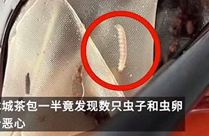 不是「冬蟲夏草」！女子茶包加料喝出滿滿「蟲卵」商家：存放不當