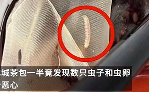 不是「冬蟲夏草」！女子茶包加料喝出滿滿「蟲卵」商家：存放不當