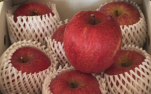 小笠原欣幸觀點》台灣限制日本食品進口，日方欲速則不達