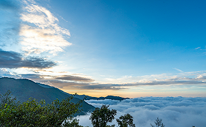 搭巴士看雪霸日出雲海美景！台灣好行「觀霧線」今正式通車