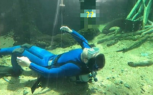 (影)比白鯨還稀有？水族館靠1奇招攬客