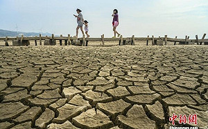 長江面臨61年來最嚴重乾旱! 農民 : 中稻肯定已絕收 晚稻就看下不下雨