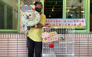 新北推動里認養小棧 金山老街萬壽里幫毛孩找幸福