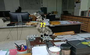 常被認錯！辦公室菜鳥同事身分曝光