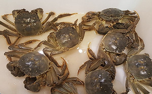 大陸中秋6大怪現象 月餅和大閘蟹沒人吃? 原來真相是這樣.....