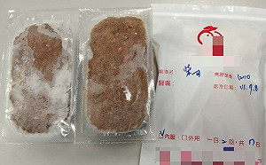 國內首隻校犬狗醫生  新北「柴哥」往專業治療領域發展