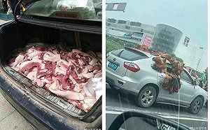 成都封城4天民眾瘋搶亂象 活雞生肉搬上車狂奔家