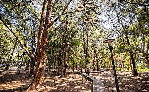 中秋連假不無聊！台南「這9大活動」懶人包一次看