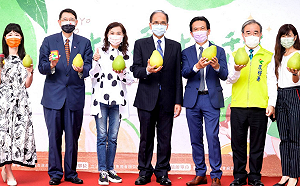 挺台南文旦 游錫堃：盼未來開啟歐洲市場