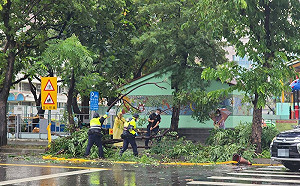 軒嵐諾高雄颳強風吹落廣告帆布 路樹傾倒壓4車