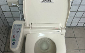 只准議員用免治馬桶？她PO「重點在於市長把事做好的決心」力挺陳時中