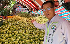 民進黨高舉「司法改革」道德大旗  黃國昌批：卻在苗栗提名司法黃牛羅貴星