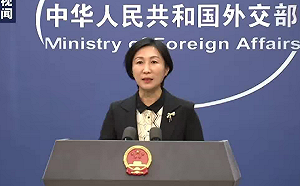 世衛再促分享疫情起源資訊 中國：開放透明超乎預期、貢獻世界第1