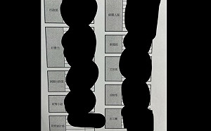 徐巧芯曝光通訊錄｢除了焦糖外還有很多名人｣ 陳時中競辦控侵害隱私