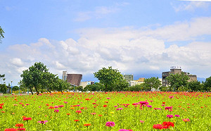 中秋來新北十三行 賞花賞月還有限定DIY活動