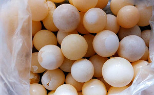 老饕讚高檔貨！謎樣小白蛋身分曝