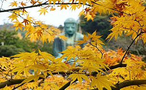 今迎白露「小心6禁忌」 沖煞2生肖