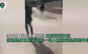 老人遭「高空墜狗」砸中身亡 律師：若狗主不現身 整棟樓恐都成被告