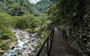 秋季療癒漫旅！中秋連假八仙山踏青免費接駁