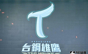 台鋼簽下29位選手 預計今年9月開訓