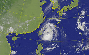 梅花是否還會增強？關鍵因素曝光