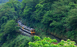 強風豪雨不斷台鐵傳災情！平溪線預計今晚23時59分恢復通車