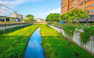 新北水利局長：鴨母港溝整治不容一再誤導扭曲