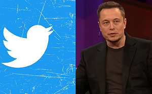 推特打擊假冒帳號！馬斯克：一旦發現將永久停權