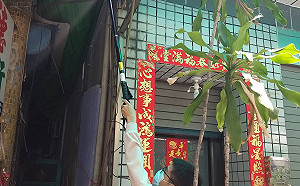 登革熱再添3例本土個案！疾管署：高雄前鎮群聚疑擴散  擴大採檢1,050人