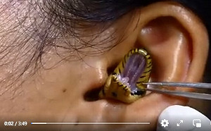 (影) 怎麼進去的? 女子耳朵驚見「黃蛇」張嘴！網批「假的」：像在玩蛇