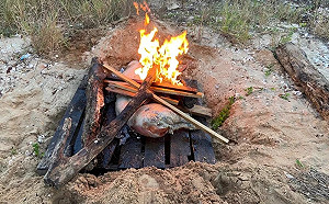 先來無人機再來「海漂豬」！確染非洲豬瘟 金門豬肉製品禁銷台一周