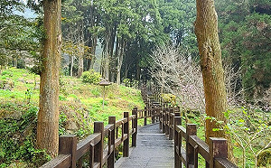 假日一同來解憂！阿里山奮起湖特色調酒9/18開張