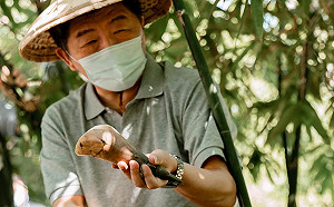 邰哥有對手了？陳時中類「一日系列」行程體驗 一個月幻化多種職業