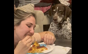嘴邊肉狂抖！貪吃汪見她咬披薩氣炸