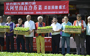 長老教會提供芥菜苗   助阿里山原住民 14年不間斷