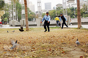 與H7N9個案接觸 高市1例類似症狀待斷