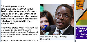 人權爭議  辛巴威轟美國大使去找棵香蕉樹上吊
