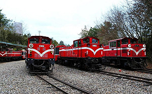 阿里山花季3月登場  北中南直達客運取消