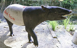 在馬來貘屁屁上寫字非捉弄！用意曝