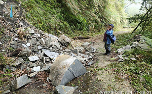 大量蚯蚓出沒=地震前兆?氣象局闢謠:無科學證據