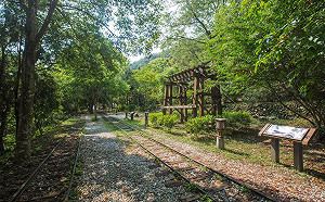 不受地震影響！國旅依舊夯 觀光局：遊樂園補助估10月上旬用完