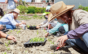 高虹安戰學歷 沈慧虹想起沒機會讀書的母親譙傲慢菁英