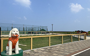 新北淡水新濱公園啟用