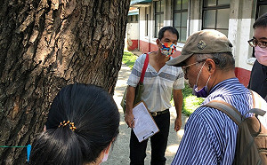 新北市再增列「景美人權園區」2株珍貴樹木 持續精進樹木保護